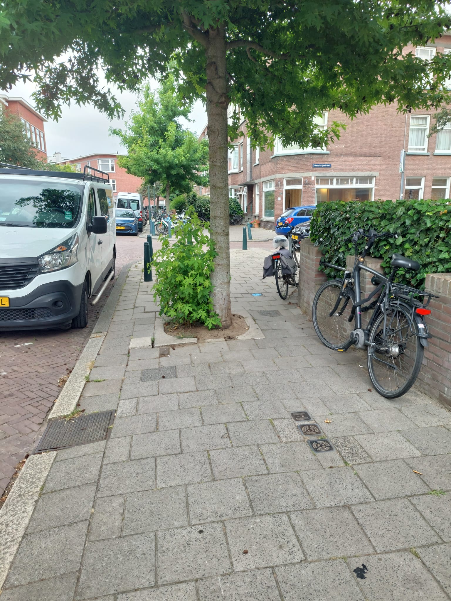 boom op de stoep